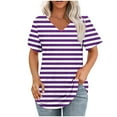 thumbnail image 1 of DecSea Womens Striped T Shirts V Neck Short Sleeve Casual Tops Loose Fit Basic Tees with Curved Hem, 1 of 5