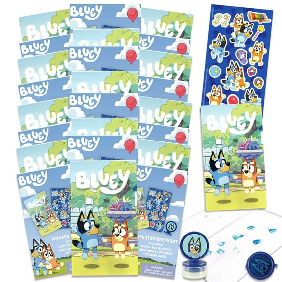 Decacde West Bluey Birthday Party Favors Set, 24 Count