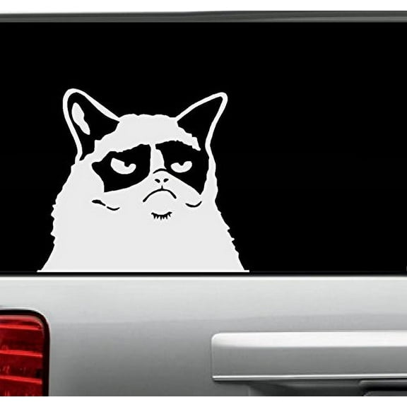 Decal ~ GRUMPY CAT ~ WALL DECAL, or Window Decal 8" x 10"