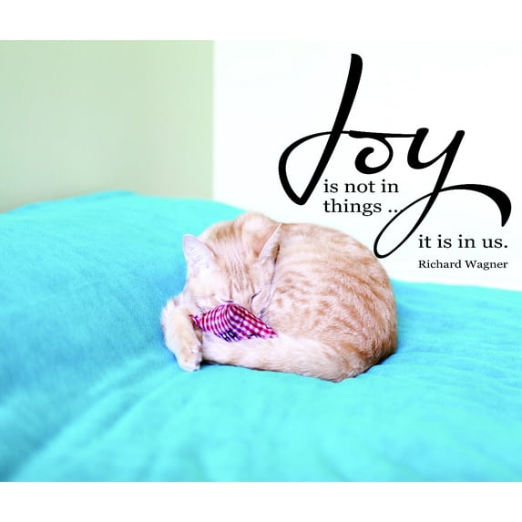Decal Wall Sticker : Joy Is Not In Things...It Is In Us. Richard Wagner Motivational Inspirational Life Quote 16x24 Inches