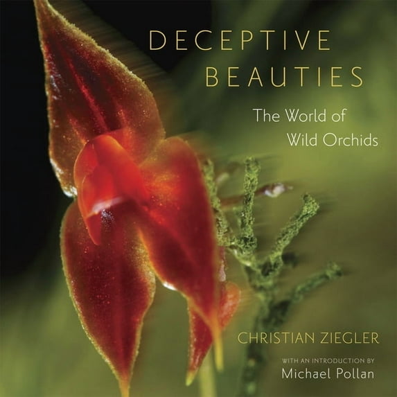 Deceptive Beauties : The World of Wild Orchids (Hardcover)