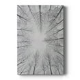 thumbnail image 1 of Deciduous Canopy I Premium Gallery Wrapped Canvas - Ready to Hang, 1 of 9