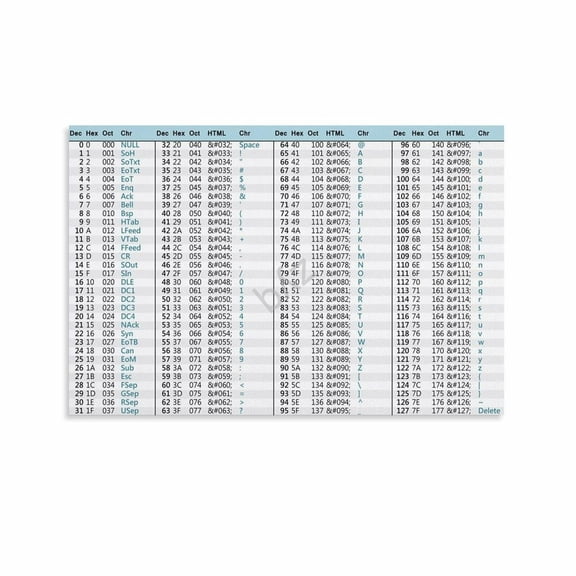 Decimal Binary Octal Hex ASCII Conversion Chart Poster (7) Canvas for Living Room Bedroom Decor