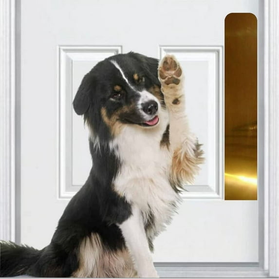 Deck the Door Decor | Dog Scratch Door Protection Plate - Anodized Aluminum - Magnetic Mount for Steel Doors - Multiple Finish Colors - Sizes for All Doors (6 x 22, Shiny Brass)