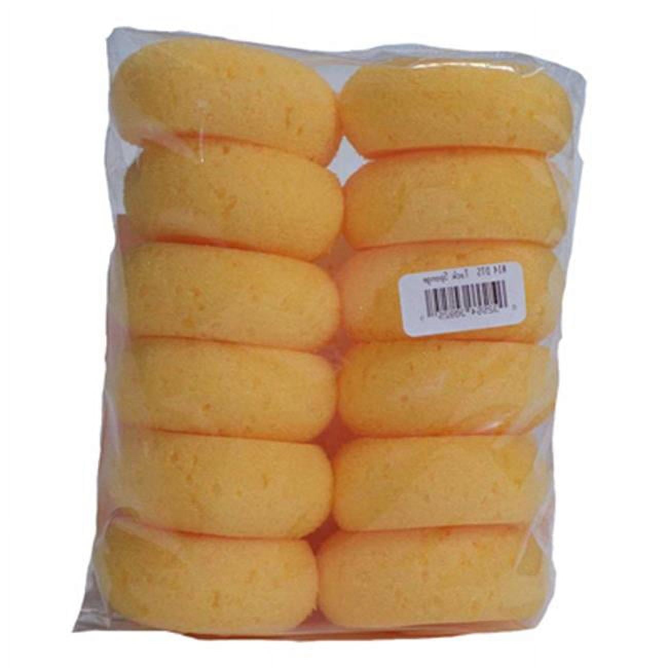 24 Pcs Sponges for Dishes, Non-Scratch Scrub Sponges with Abrasive Scour  Pads, 3.94Inch x 2.8Inch x 1.2Inch Dual-Sided Dish Sponges for Washing  Dishes or Home Kitchen Cleaning 