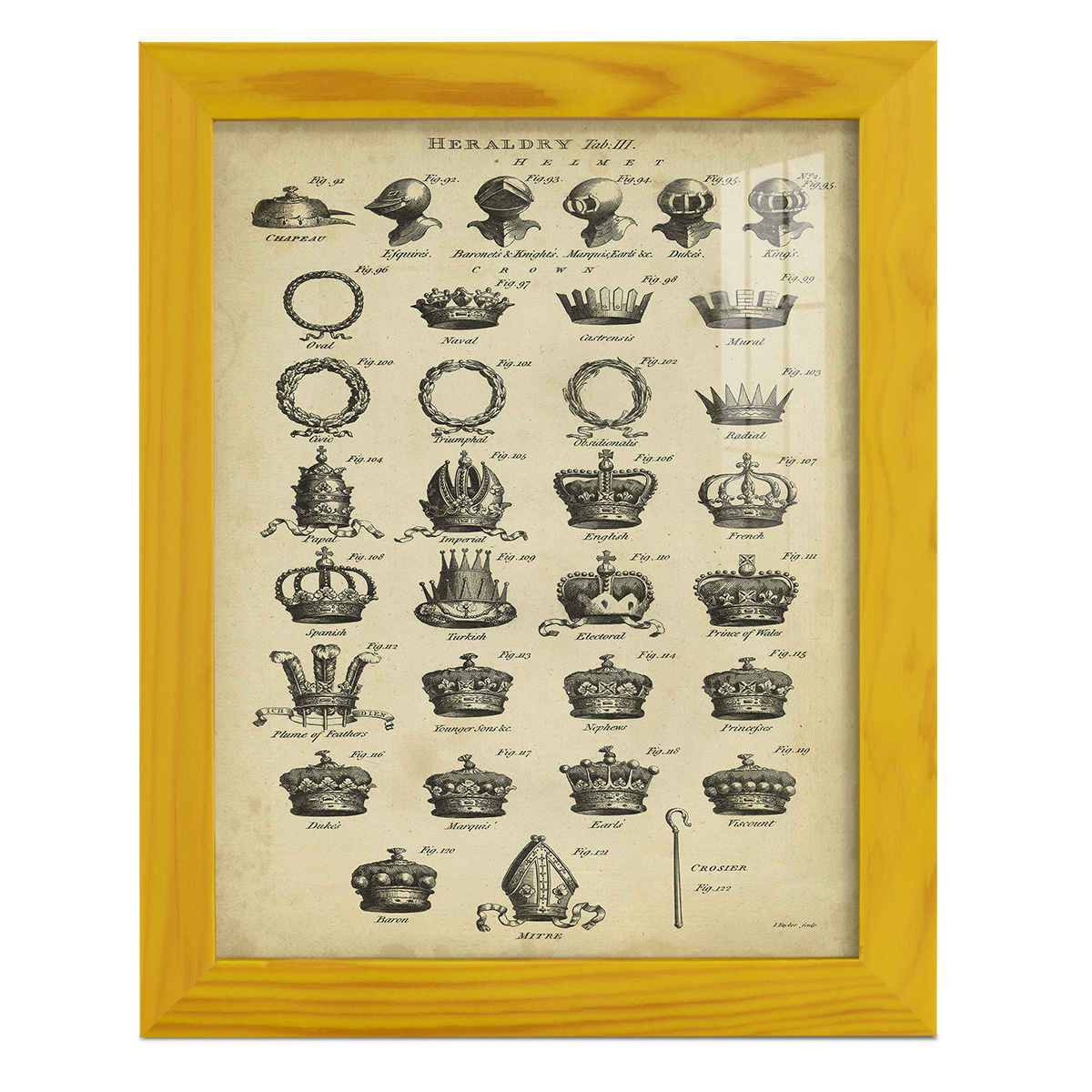Deckled Encyclopediae IV (AS) -Framed Print w/glass-Sunflower Yellow