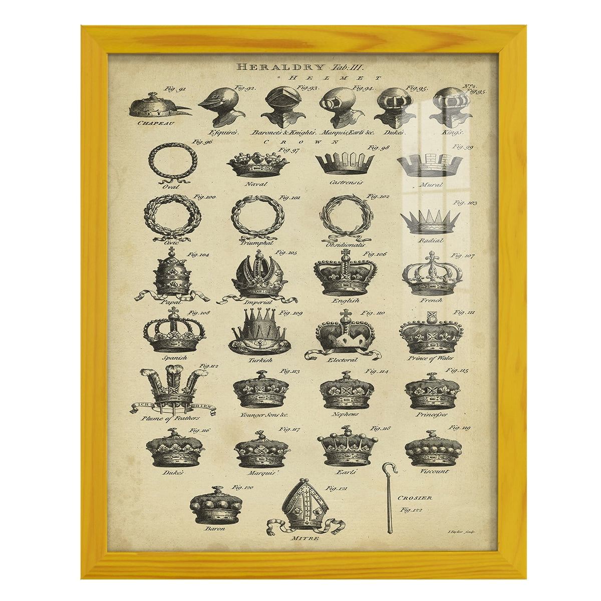 Deckled Encyclopediae IV (AS) -Framed Print w/glass-Sunflower Yellow
