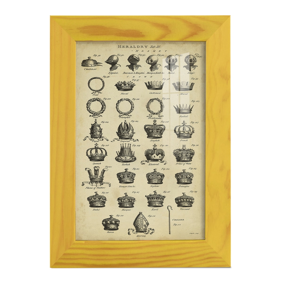 Deckled Encyclopediae IV (AS) -Framed Print w/glass-Sunflower Yellow