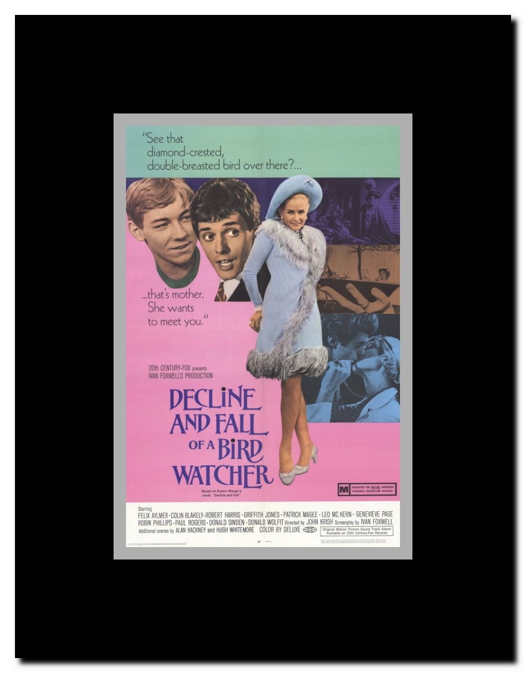 Decline and Fall of a Bird Watcher Framed Movie Poster