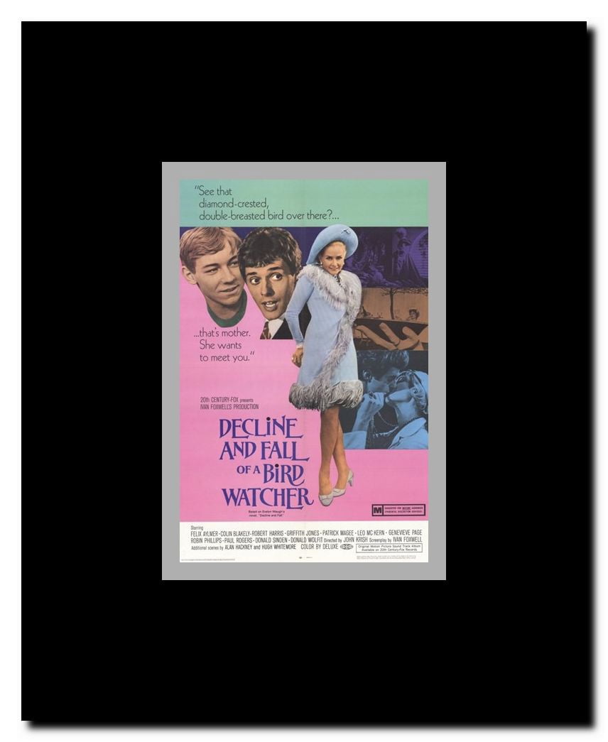 Decline and Fall of a Birdwatcher Framed Movie Poster