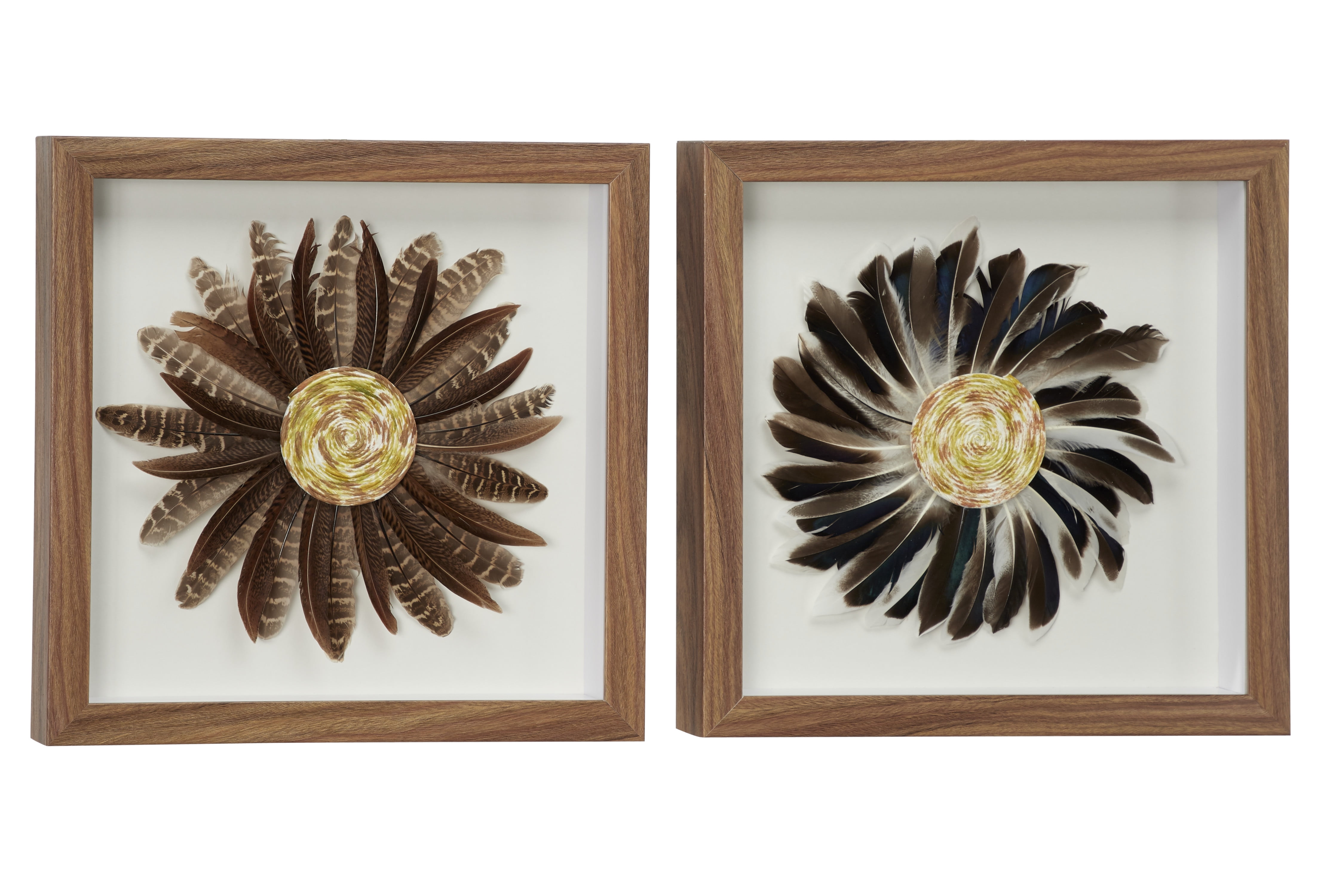 Decmode Eclectic Style Brown & Black Feather Shadow Box Wall Décor in