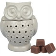 thumbnail image 1 of Deco Electric Owl Candle Warmer, Wax & Tart Warmer for Indoor Decor, Includes 4 Wax Cubes and Halogen Bulb(4.5"x4.5"x6")- Freshen Home or Office w Desired Fragrance- Great Holiday and Wedding Gift, 1 of 6
