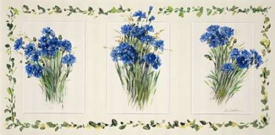 Deco Floral II Canvas Art - Katharina Schottler (24 x 48)