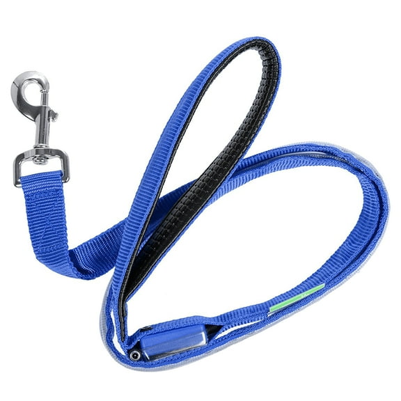 Deco Gear LED Dog Leash w/3 Light Modes for Night Safety, Battery-Powered - Blue