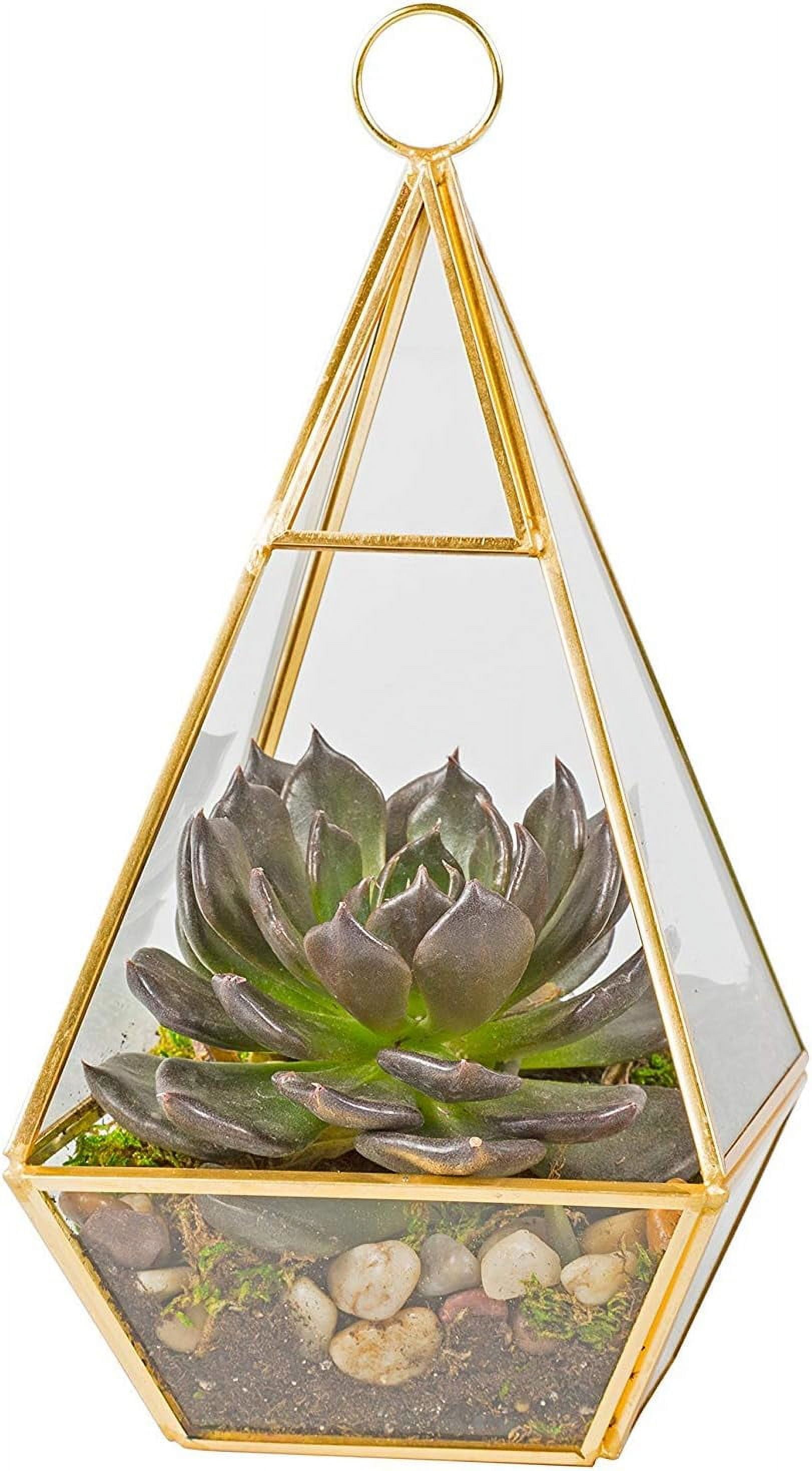 Deco Glass Geometric DIY Terrarium for Succulent & Air Plant - Hanging Pyramid Shaped for Indoor Gardening Decor - Create Your own Flower, Fern, Moss Centerpiece - Great Gift