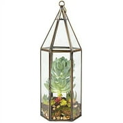 Deco Glass Geometric DIY Terrarium for Succulent & Air Plant - Hanging Tall Hexagon Shape for Indoor Gardening Decor- Create your own Flower, Fern, Moss Centerpiece- Amazing Valentine's Day Gift
