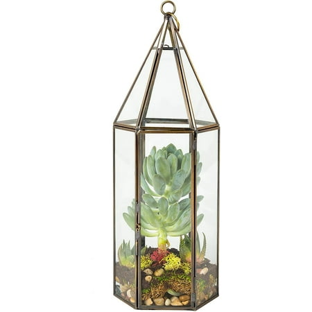 D'Eco Glass Geometric Plant Terrarium (5x5x14) - Indoor Tabletop Bronze Tall Hexagon Planter - Succulents, Air Plants, Moss - Home Garden Office Decor - Great Gift (Terrarium Only)