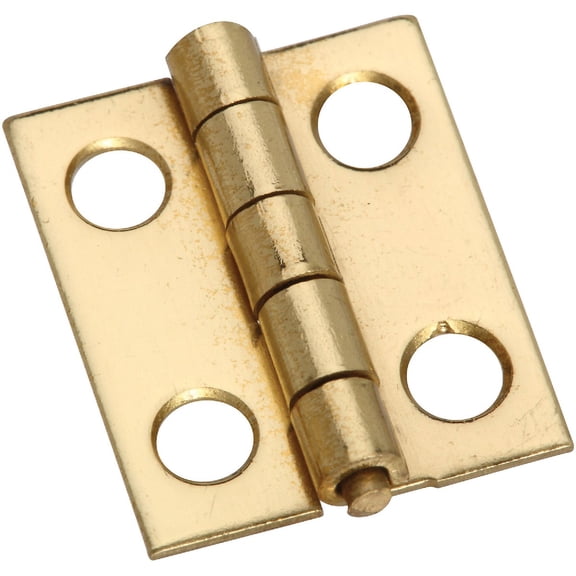 National Hardware Deco Hinge Brass Door Hinge - Includes Screws - 3/4" x 5/8", Gold