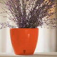 thumbnail image 1 of DecoPots - 5.5" Self Watering Planter - Indoor Decorative Flower Pot with Drainage Cartridge and Water Level Indicator 5.5", Poppy Red, 1 of 9