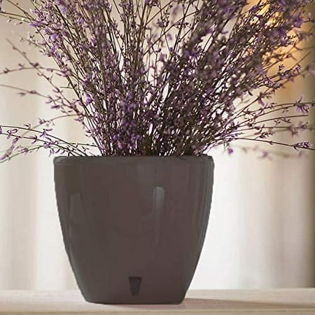 DecoPots - 5.5" Self Watering Planter - Indoor Decorative Flower Pot with Drainage Cartridge and Water Level Indicator Diameter 5.5", Shade