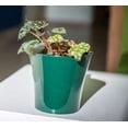 thumbnail image 1 of DecoPots - 6.5 Inch - Self Watering Planter - Indoor Flower Pot for All House Plants, Flowers, Herbs Diameter 6.5", Green - Black, 1 of 9