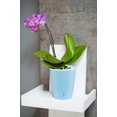 thumbnail image 1 of DecoPots Blue Plastic Orchid Pot with Self-Watering Wicking System, 1 of 5