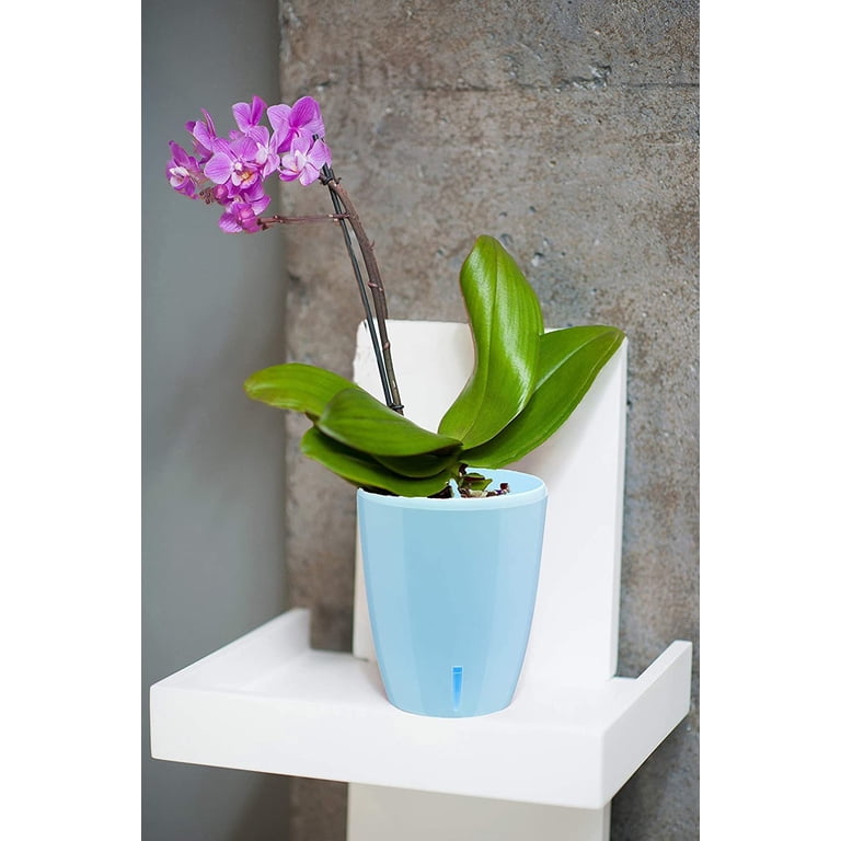 DecoPots Blue Plastic Orchid Pot with Self-Watering Wicking System -  Walmart.com