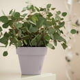 thumbnail image 1 of DecoPots - Self Watering Planter - 6.9 Inch - Indoor Outdoor with Bottom Watering and Water Level Indicator 6.9", Sand, 1 of 8