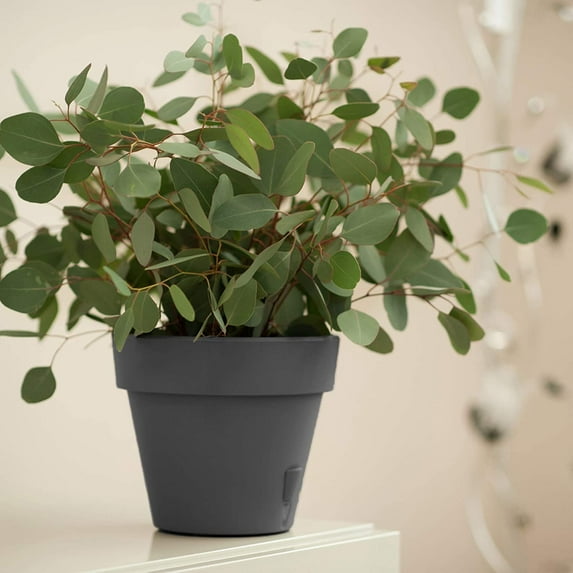 Self Watering Planter - 7.9 inch Diameter for Flower Pot with Bottom Watering Level Indicator for All House Plants Flowers Herbs Grey