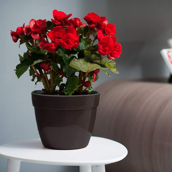 DecoPots - Self Watering Planter - Modern Flower Pot with Water Level Indicator for All House Plants, Flowers, Herbs - Height 8.3 inches Diameter 10.6", Black - Gold/Black