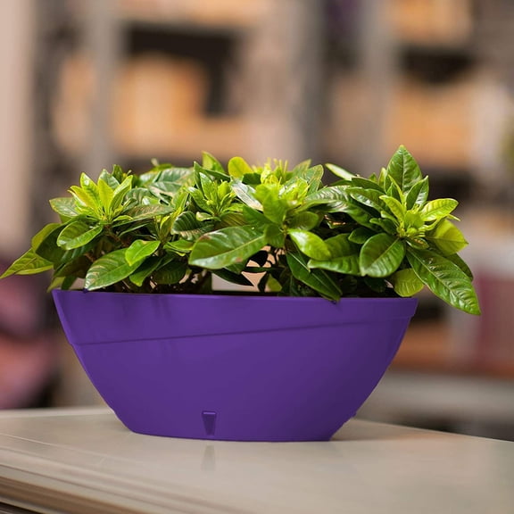 DecoPots - Self Watering Planter - Oval Shape 13.5 Inch x 5.1 Inch High - Indoor Flower Pot for All House Plants, Flowers, Orchids 13.5", Violet/White