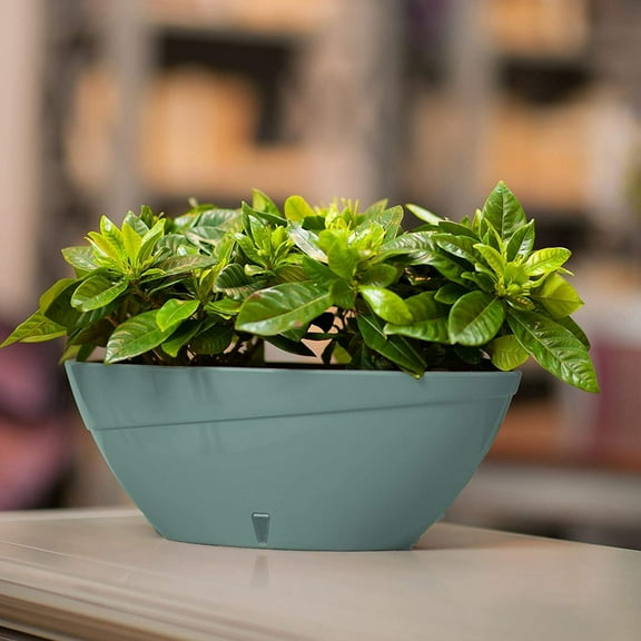 DecoPots - Self Watering Planter - Oval Shape 13.7 Inch x 5.9 Inch High - Indoor Flower Pot for All House Plants, Flowers, Orchids 13.7", Jade/White