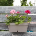 thumbnail image 1 of DecoPots -Self Watering Window Box Planter - Indoor/Outdoor - Windowsill/Oblong Shape Plastic Planter with Bottom Watering and Water Level Indicator 15.6 Inch Long, Sand, 1 of 8