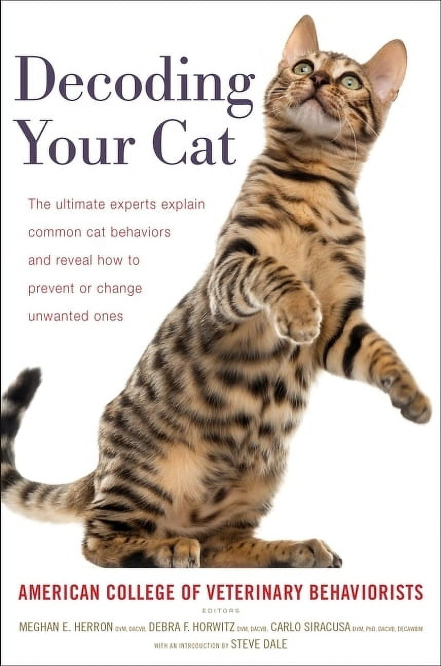 Decoding Your Cat: The Ultimate Experts Explain Common Cat Behaviors ...