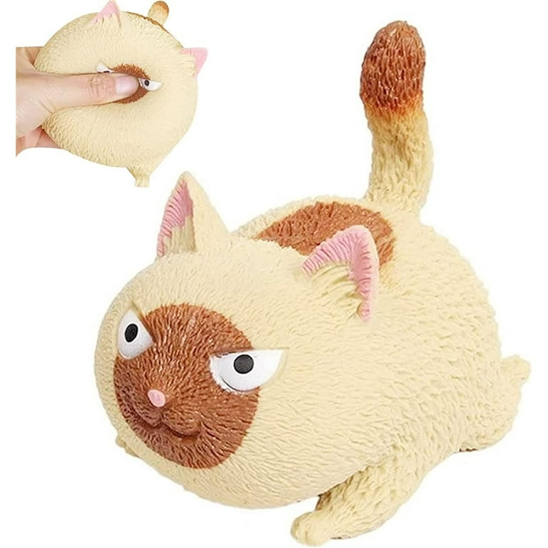 Décompressez et pressez la balle anti-stress en forme de chat Squishy Angry  Cat Stress Relief Toys pour enfants et adultes, Fidget Toys pour l'anxiété