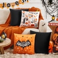 thumbnail image 1 of Deconovo Halloween Decoration Throw Pillows, Set of 4 Velvet Outdoor Pillows for Couch, Sofa, Patios, 1 of 6