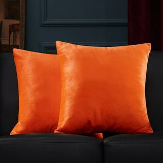 Meekio Set of 2 Burnt Orange Pillow Covers 18 x 18 Inch Decorative