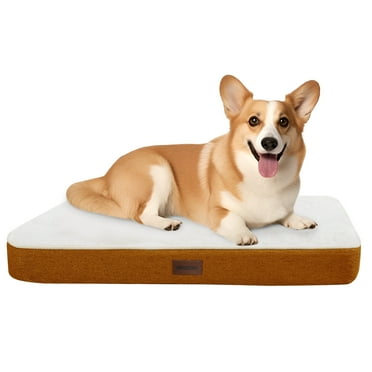 Deconovo Rectangular Dog Bed - Waterproof & Machine Washable Pet Bed for Dogs, Pumpkin/White 36x27x3