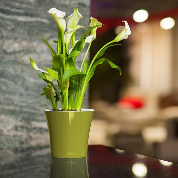 Self Watering Planter - Indoor Flower Pot for All House Plants, Flowers, Herbs 6.5", Olive/Gray