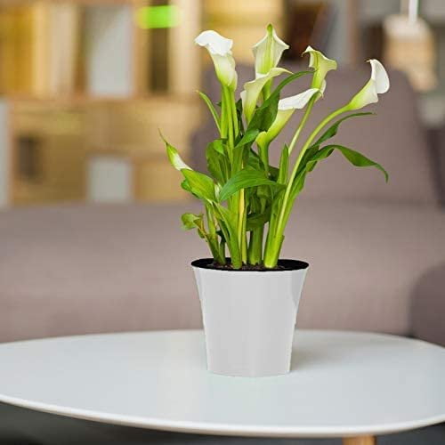 Self Watering Planter - Indoor Flower Pot for All House Plants, Flowers, Herbs 5.3", White/Black
