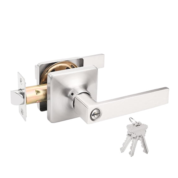 Decor Mo Modern Entry Door Lever, Keyed Entry Door Handle,Zinc Alloy Door Handle, Exterior & Interior Entry Lock with Keys, Satin Nickel Finish, 1 Pack
