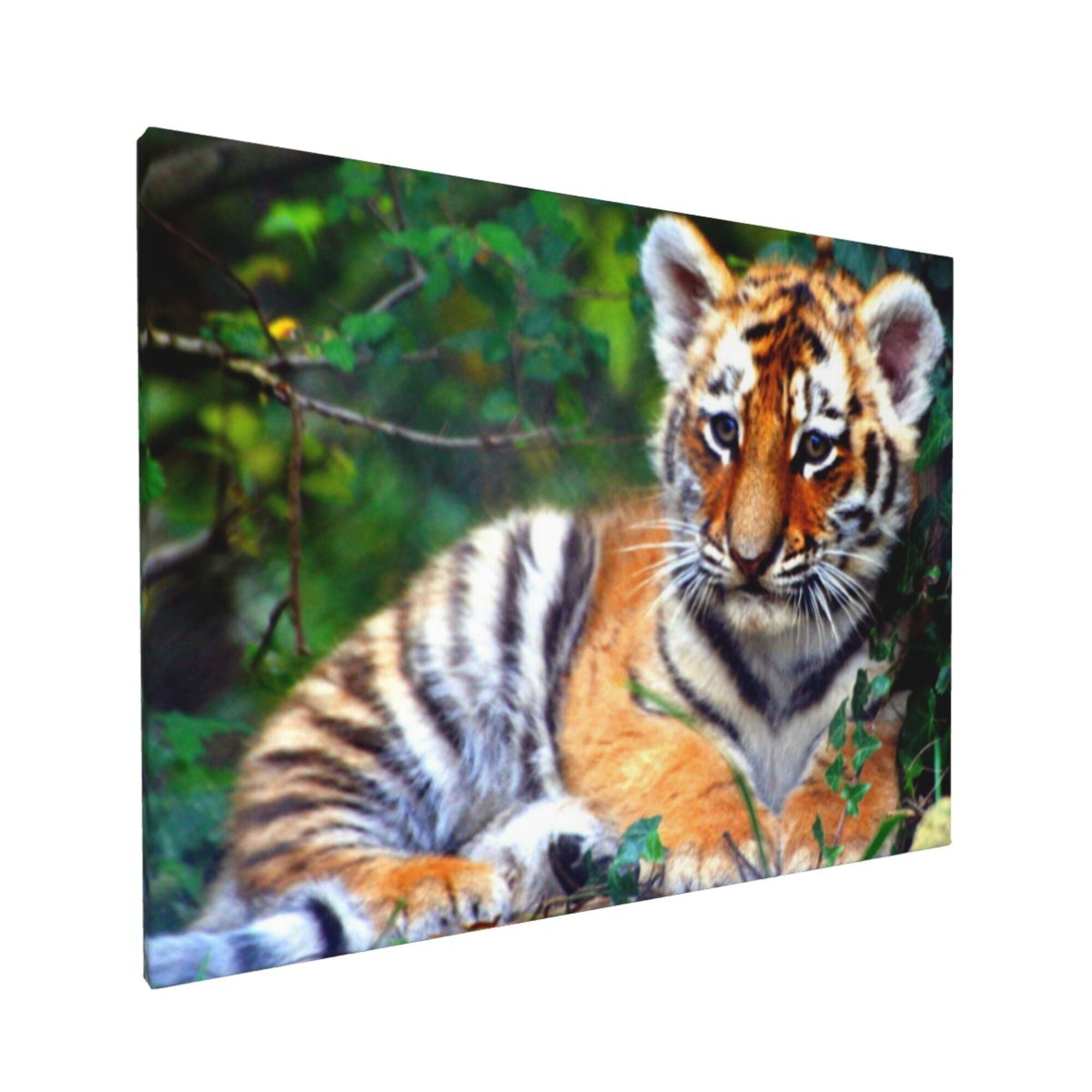 bilder wall art bilder wall art