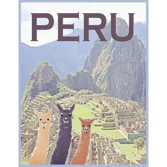 Decor POSTER.Home room art.Interior Design.Peru.Machu Pichu travel.Inca. 16 x 24 Inch Poster
