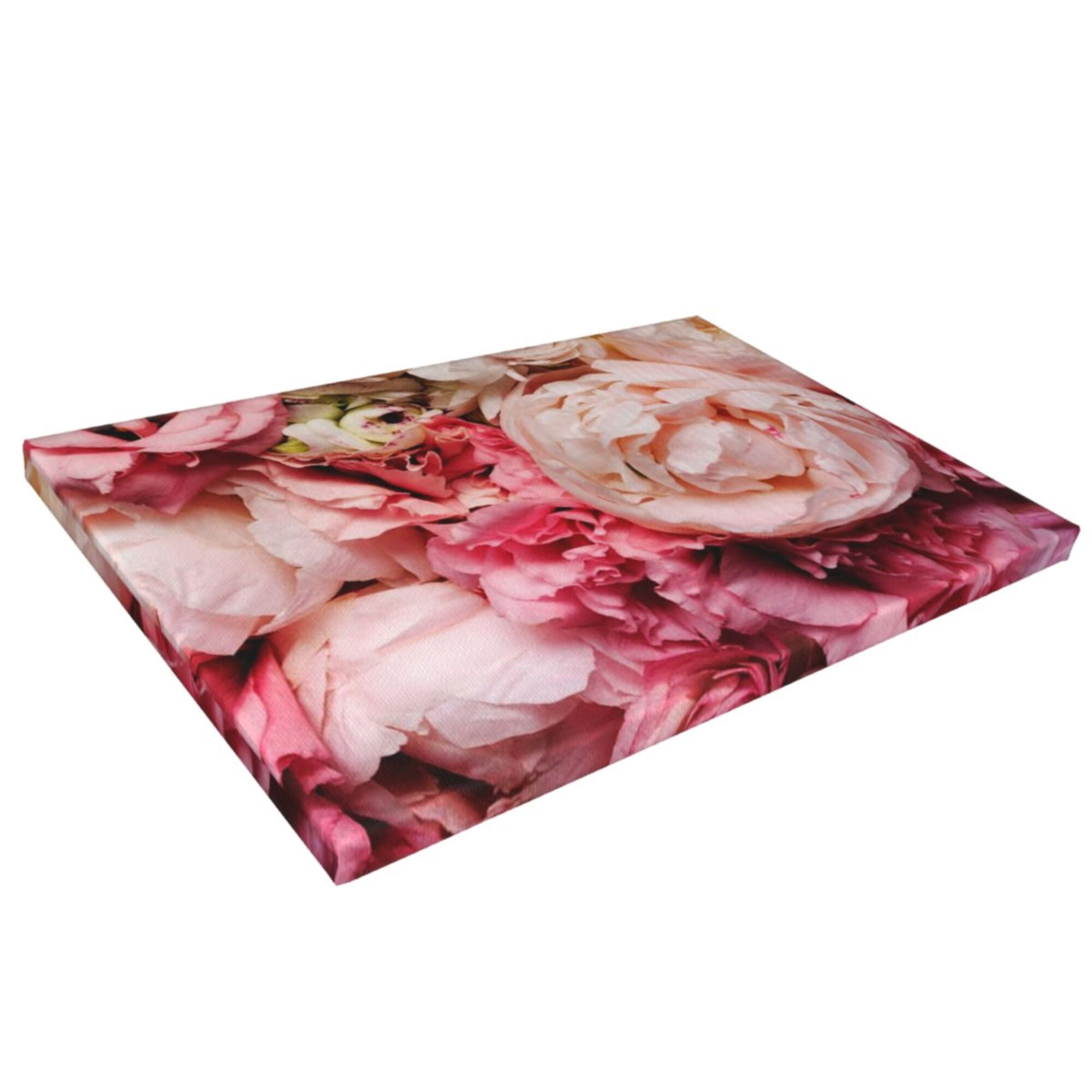 Decor Peony Wall Decor Bathroom Canvas Painting Modern Decorations