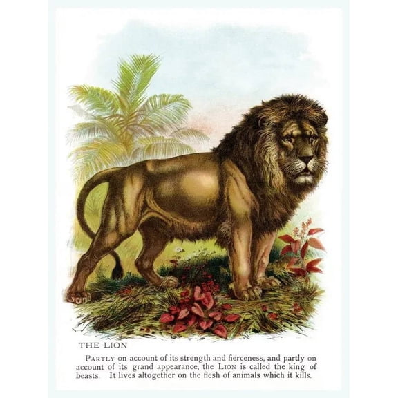 .Decor Poster.Room Interior design vintage wall.The Lion.illustration 16 x 24 Inch Poster