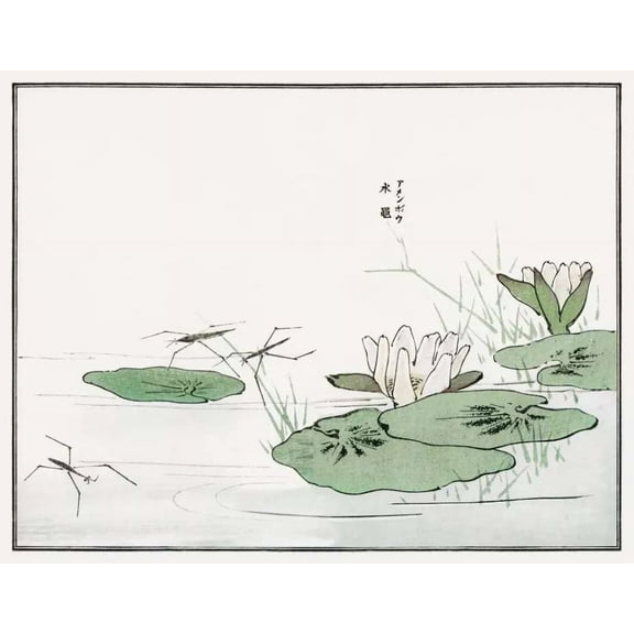 .Decor Poster.Room home wall. Japan print.Morimoto Toko art.Striders 24 x 36 Inch Poster
