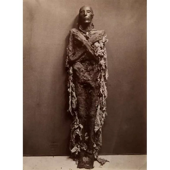 .Decor Poster.Room wall.Home art design.Seti I Egypt Pharaoh photograph 11 x 17 Inch Poster