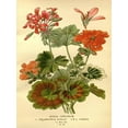 thumbnail image 1 of .Decor Poster.Room wall.Vintage Interior design.Flower bouquet illustration 11 x 17 Inch Poster, 1 of 5