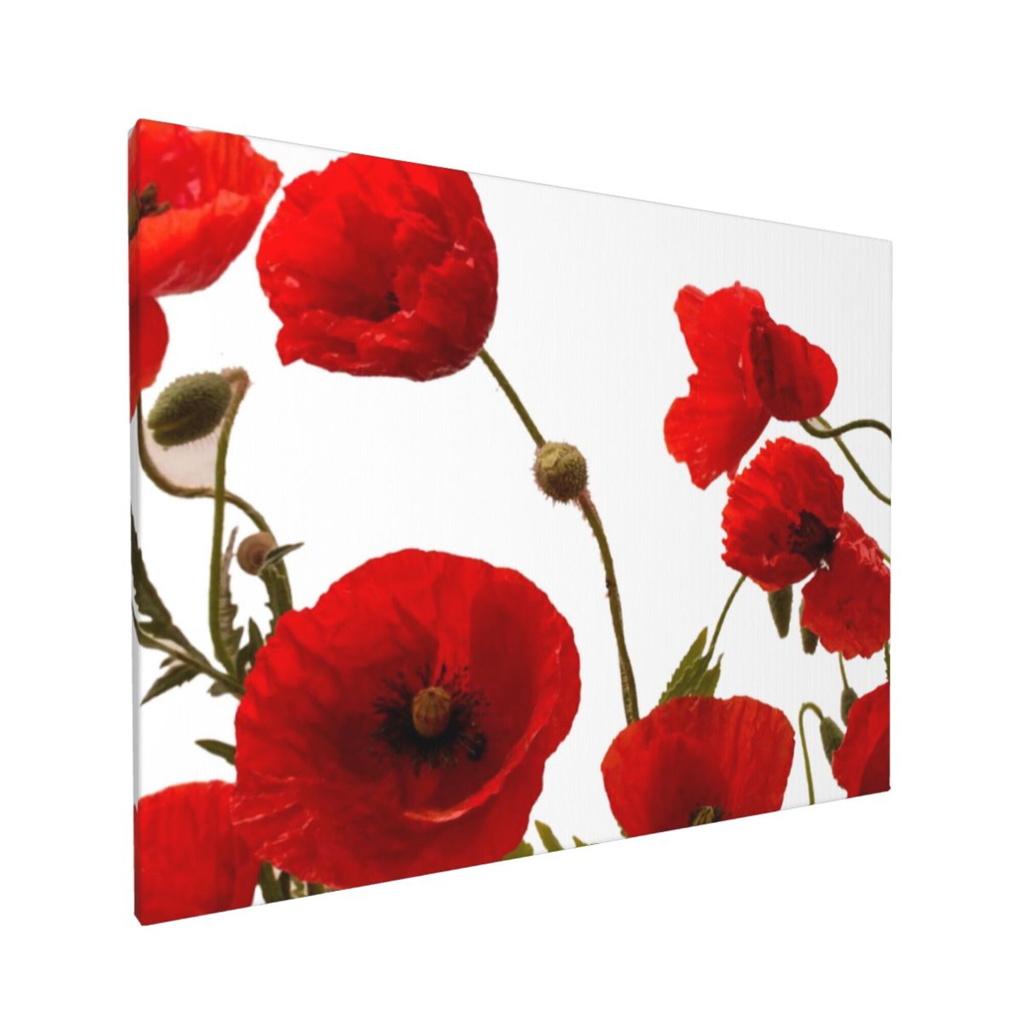 Decor Red Poppy Flowers Choose Background Color Wall Decor Bathroom Canvas Painting Modern