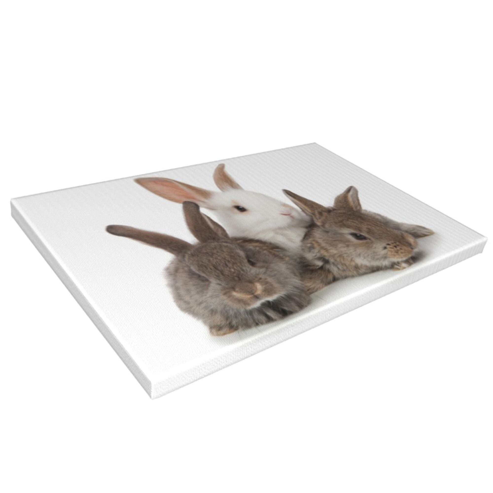 Decor Three Small Rabbit Wall Decor Bathroom Canvas Painting Modern ...